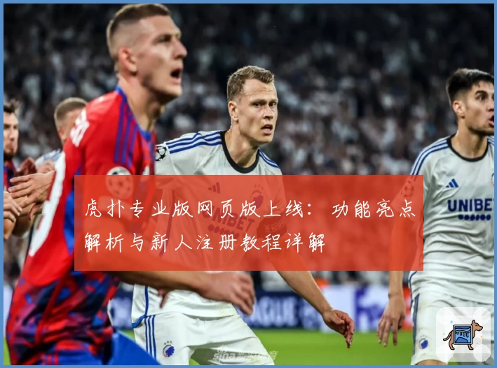 虎扑专业版网页版上线：功能亮点解析与新人注册教程详解